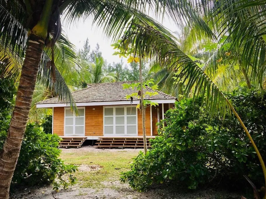 Cottage « The Papaya Tree » Temae