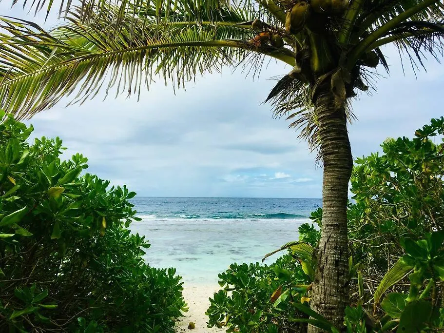 Cottage « The Papaya Tree » Temae