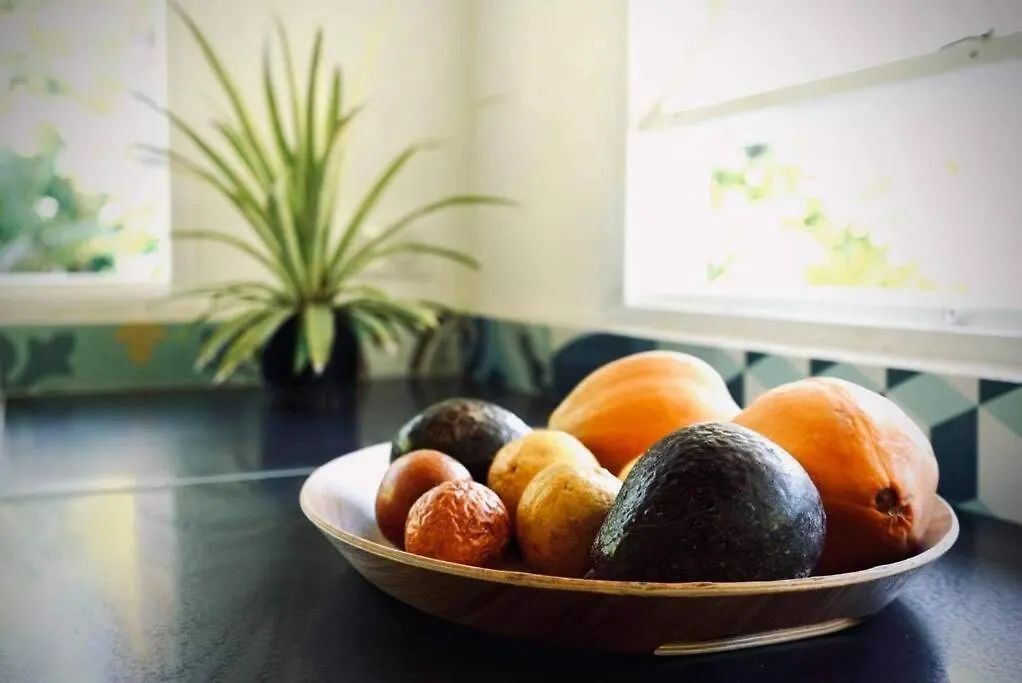 Cottage « The Papaya Tree » Temae Tatil Evi